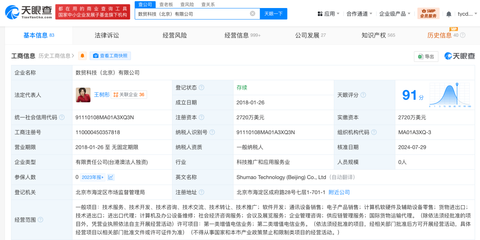敦煌網創始人 從清華女教師到電商領軍者的跨界傳奇