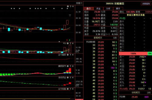 絲路視覺（300556） 主力悄然布局，計(jì)算機(jī)軟硬件業(yè)務(wù)驅(qū)動(dòng)下未來走勢深度解析